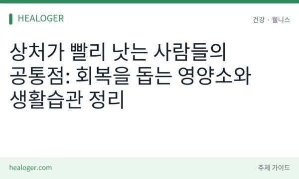 상처 회복 영양