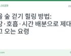 가을 숲 걷기 힐링 방법