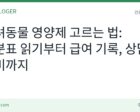 반려동물 영양제 고르는 법